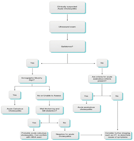 Imaging Anatomy and Pathology Assignment4.png